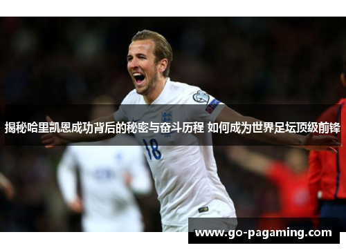 揭秘哈里凯恩成功背后的秘密与奋斗历程 如何成为世界足坛顶级前锋