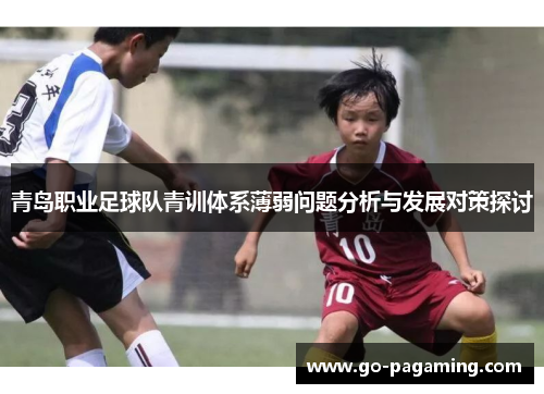 青岛职业足球队青训体系薄弱问题分析与发展对策探讨