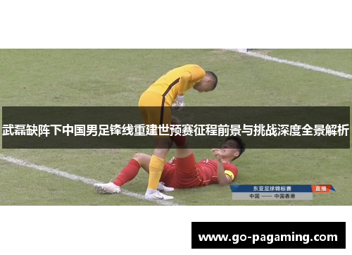 武磊缺阵下中国男足锋线重建世预赛征程前景与挑战深度全景解析